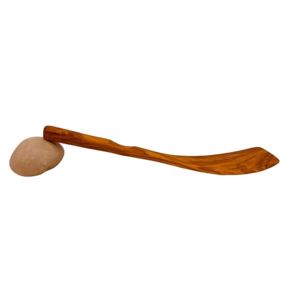 Spatula curbata Oliva