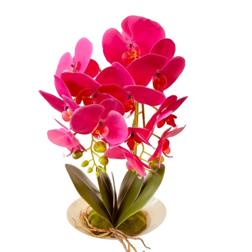 Орхидеи в керамических горшках, розовые.